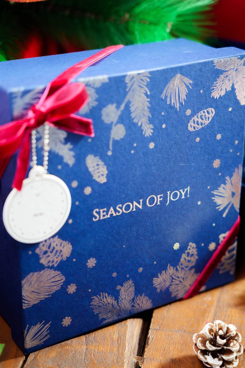 Blue Season of Joy gift box with ribbon and pine cones, Red Ribbon Christmas